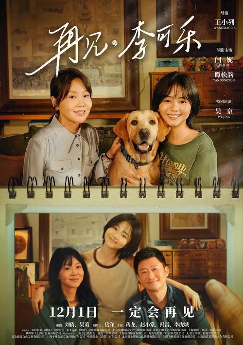 午间影院：午休时光必看的5部治愈系电影，碎片时间追剧指南