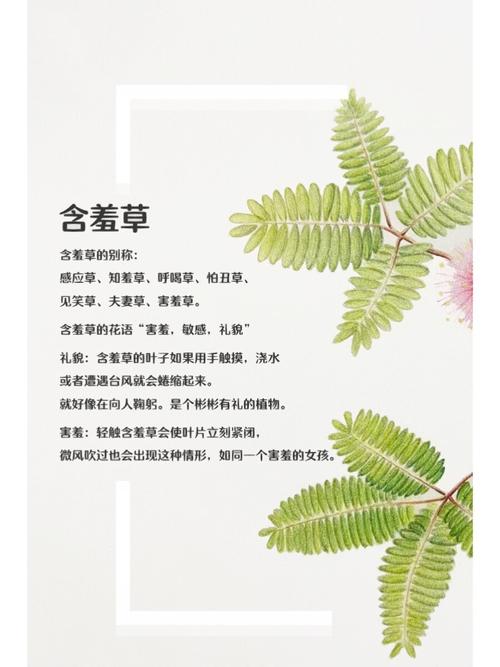 80影院在线观看 - 最新电影免费高清资源、热播剧集无广告播放、80影院VIP影视大全