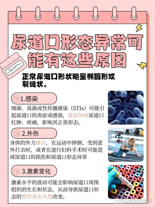 黑丝亚洲av网的相关介绍