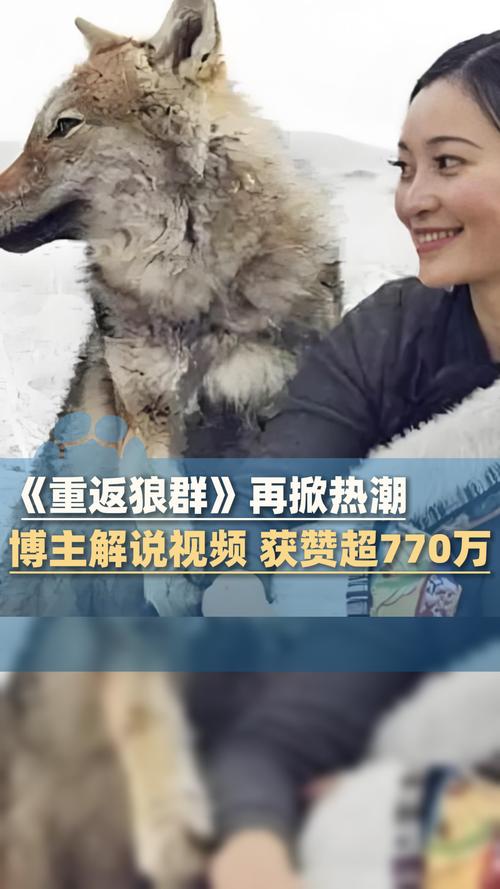 啦啦啦高清在线影院 - 2025最新高清影视免费在线观看，无广告蓝光画质，热门电影电视剧极速追剧