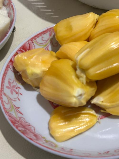无需下载看视频的app的相关介绍