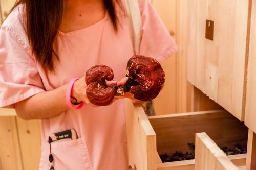 星光影院：在线观看最新热门电影、高分经典大片及独家院线资源
