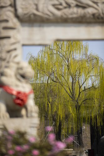 午夜家庭影院私藏片单｜深夜宅家必看悬疑惊悚电影推荐｜沉浸式家庭观影氛围感打造指南