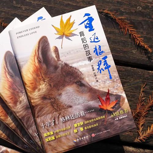 新天堂影院观影指南 | 新天堂影院经典片段 | 新天堂影院剧情深度解析