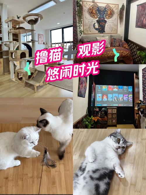 神马影院手机午夜版在线观看｜免费高清午夜剧场｜神马影院手机午夜无广告入口