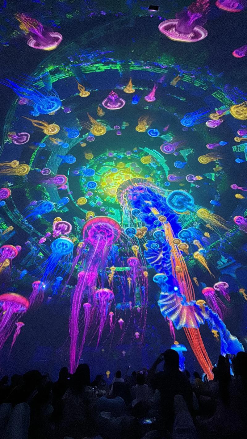 老湿视频全集影院在线 - 免费高清资源在线观看 无删减完整版 2025最新收录