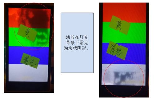 欧美高清一级一区二区的相关介绍