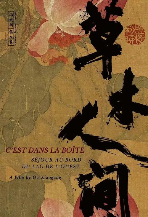 《将夜》神马影院在线观看：宁缺桑桑修真之旅，宿命对决与昊天之战全解析
